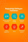 REDOXONVİTAMİN-MİNERALLERRedoxon C Vitamini 15 Efervesan
