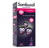 SAMBUCOLVİTAMİN-MİNERALLERSambucol Kids Kara Mürver Özütü C Vitamini Çinko 120 ml