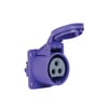 406553V
METE ENERJİ , 406553V , 3x16A. 24V IP44 MAKİNE PRİZİ DÜZ (Vidalı Bağ.)