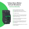 GV3P40Schneider Electric GV3P40 -Tesys Gv3 Motor Devre Kesici Termik Many. 30-40A