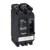 LV438600
NSX100F 100A 2P 36KA AC/DC