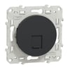 S540471
Odace 1xRJ45 Cat5e UTP - Antrasit
