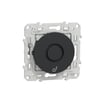 S540580
Odace Elektronik kapı zili - Antrasit