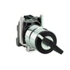XB4BG61
Mandal buton Ø22 2 konumlu yaylı dönüş 1NA