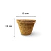 Coco Pot 12x15 cm Organik Bitki Saksısı