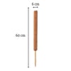 SAKSI MİX COCO BİTKİ DESTEKLEME ÇUBUĞU 60 CM(GEÇİRMELİ)