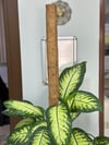 SAKSI MİX COCO BİTKİ DESTEKLEME ÇUBUĞU 60 CM(GEÇİRMELİ)