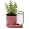 SAKSI MİX HERBAL HERO SAKSI PEMBE