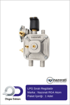 Nazorati RG4 Atom Sıralı Regülatör Beyin 