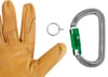 PETZL Am’D PIN-LOCK Özel Kilitli Karabina