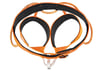 PETZL HIRUNDOS Emniyet Kemeri