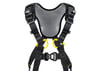 PETZL NEWTON FAST EMNİYET KEMERİ - International