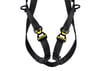 PETZL NEWTON FAST EMNİYET KEMERİ - International