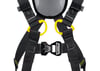 PETZL NEWTON FAST EMNİYET KEMERİ - International