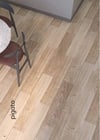 Agt Corvina PİGATO