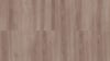 Floorpan Classic Laminat Parke 8 mm Assos Meşe