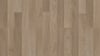 Floorpan Sun Laminat Parke 8 mm Yeditepe