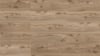 Floorpan Sun Laminat Parke 8mm Gold Çam