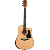 Carneville M7 Akustik Gitar