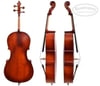Çello (Viyolonsel) Gül DCR14NM