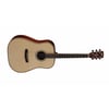 Cort AS-E5 NAT Akustik Gitar Çantalı
