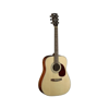 CORT EARTH70OP Akustik Gitar