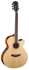 Cort PW370M-NS Elektro Akustik Cutaway Gitar Çantalı Parkwood Serisi Fishman EQ