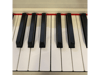 Cremonia 58812 WH Dijital Piyano