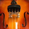 Cremonia CMUTE523 Çello Susturucusu
