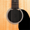 D'Addario Screeching Halt Humidifier PW-ASHH-01 (Feedback Önleyici + Nemlendirici)