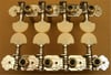 Maxtone GM40S Mandolin Akort Kulağı (4+4)