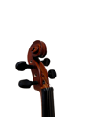 Presto Luthier W100 3/4 Keman