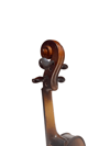Presto Luthier W300 4/4 Keman