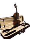 Presto Luthier W300 4/4 Keman