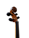 Presto Luthier W50 3/4 Keman 