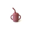 Baboo Pipetli Suluk - Pembe
