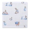 Bébé Lapin & Endless Blue 10`lu Müslin Bebek Ağız Bezi Paketi