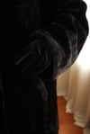 Peluş Kaban