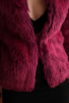 Peluş Kaban