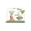 Baby Turco Doğadan Hesaplı Pk.4 Maxi (8-14) 60 Adet