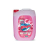 Bingo Soft 5 Lt Bahar (gül Pembe)