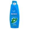 Blendax Şampuan 500 Ml Dökülmeye Eğimli Saçlar