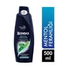 Blendax Şampuan 500 Ml Men Mentol Normal Saçlar