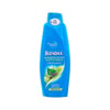 Blendax Şampuan 500 Ml Yağlı Saçlar