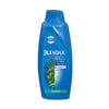 Blendax Şampuan 600 Ml Yağlı Saçlar