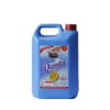 Damla Sıvı Bulaşık 5 Kg