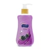 Hobby Sıvı El Sabunu 400 Ml Böğürtlen