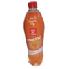 Noriyon 1 Lt Dımışkı Mandalina Pet