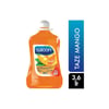 Saloon Sıvı El Sabunu 3,6 Lt Mango