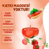 DOMATES KONSERVESİ 650GR.